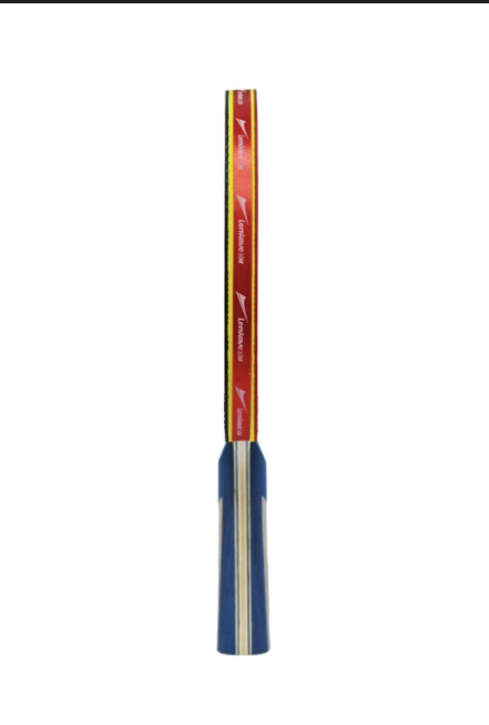 Lenwave 4-star Table Tennis Racket