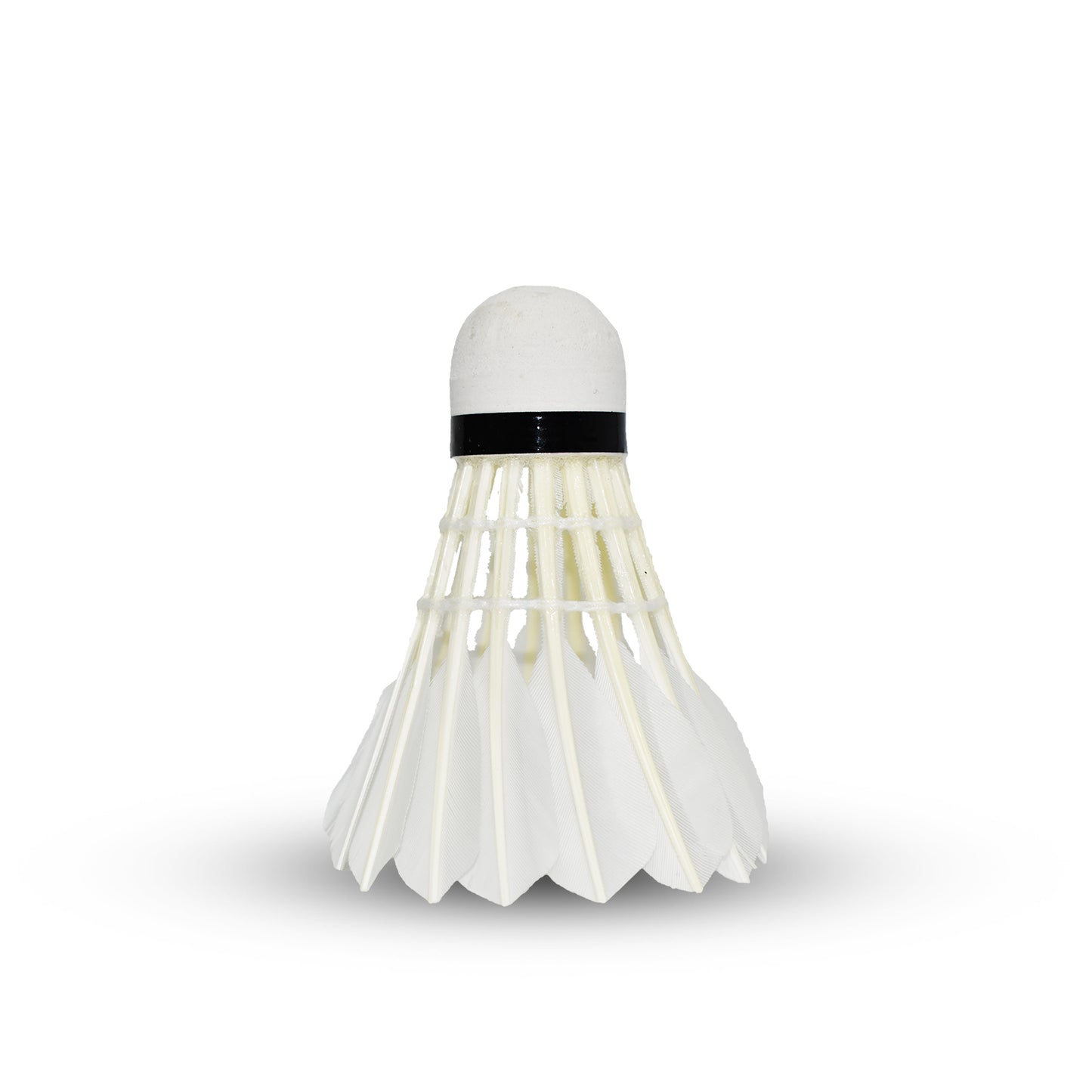 Lenwave #5 Training Shuttlecock - 12pcs