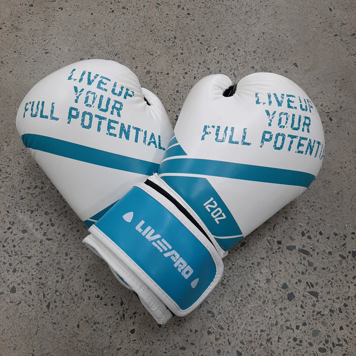 Livepro Boxing Gloves