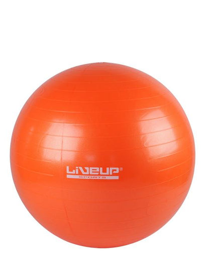 Liveup Gym Ball