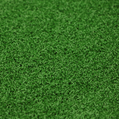 Progress Artificial Sports Grass