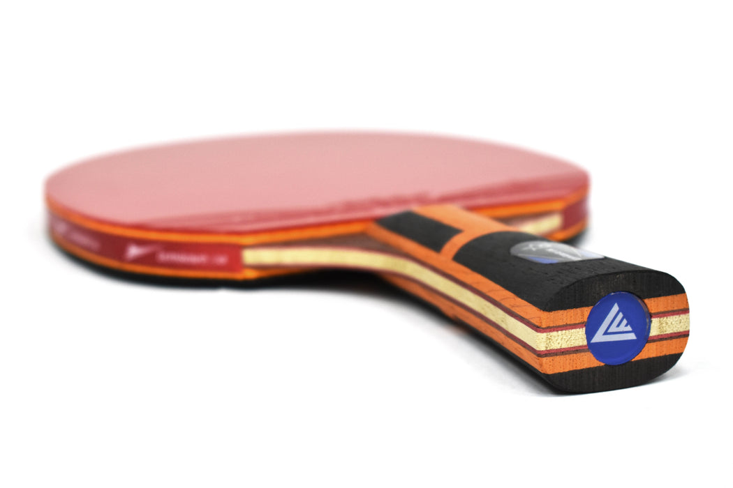 Lenwave 5-star Table Tennis Racket